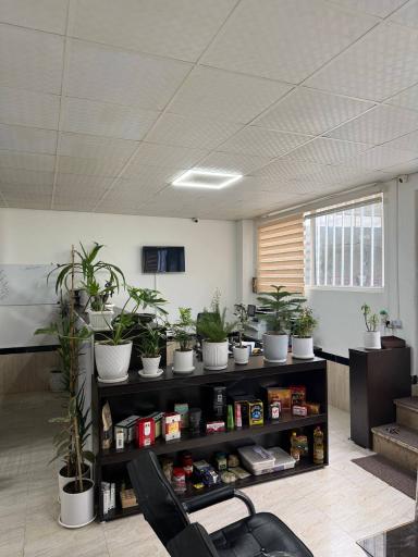 عکس پخش مواد غذایی نوا تجارت 