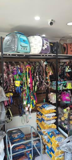 عکس الو پت شاپ