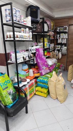 عکس الو پت شاپ