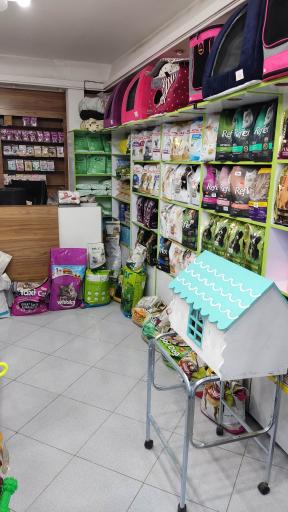 عکس الو پت شاپ