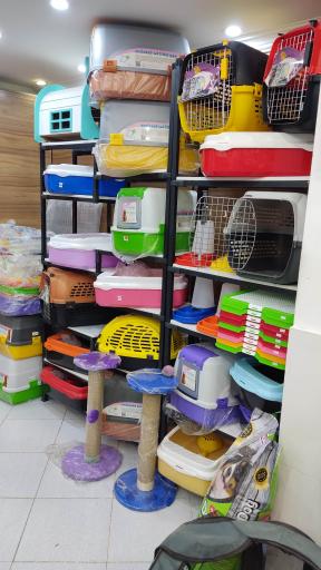 عکس الو پت شاپ