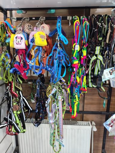 عکس الو پت شاپ