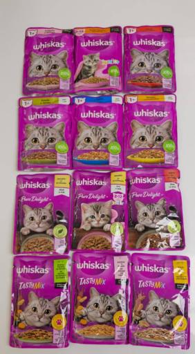 عکس الو پت شاپ