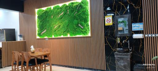 عکس اچ برگر