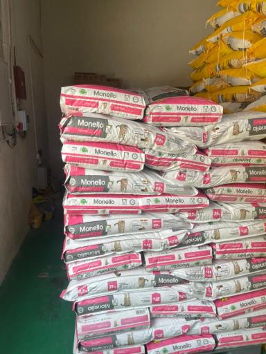 عکس الو پت شاپ