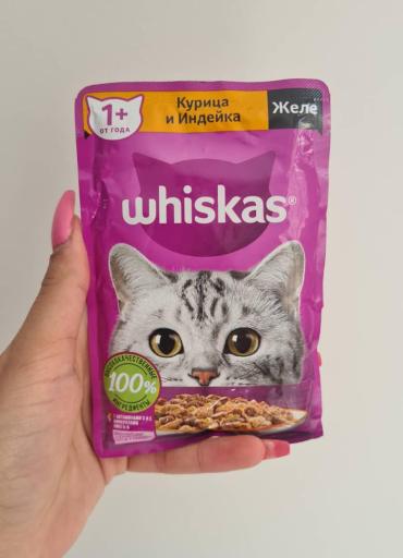 عکس الو پت شاپ