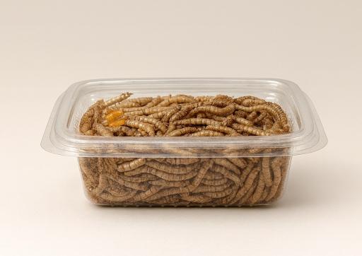 عکس الو پت شاپ