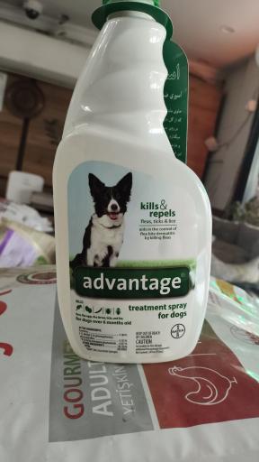 عکس الو پت شاپ