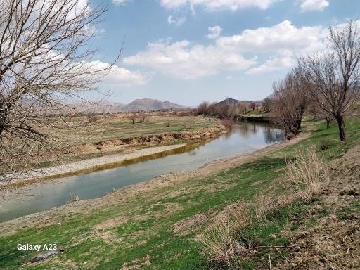 عکس جاورسیان