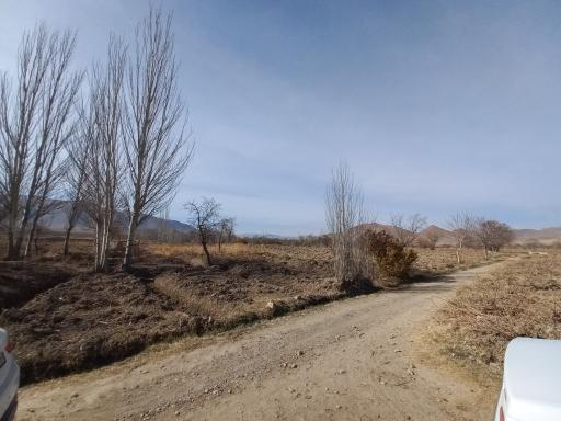 عکس جاورسیان