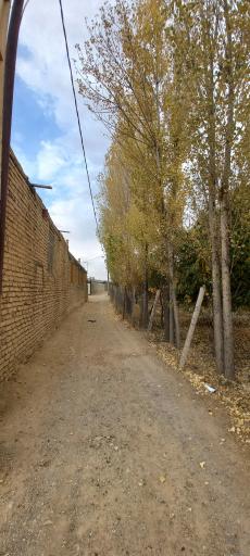 عکس جاورسیان