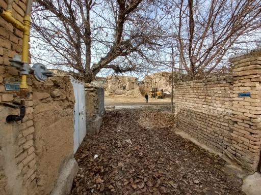 عکس جاورسیان