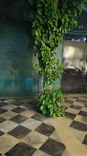 عکس باغ تالار هرمس