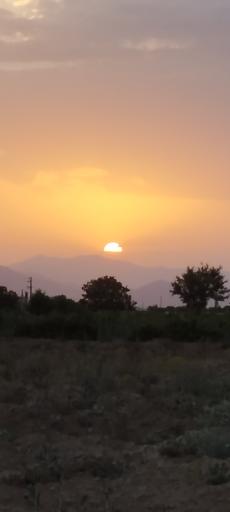 عکس جاورسیان