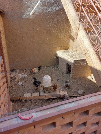 عکس دبستان پسرانه صبح رویش (کودکان کار)