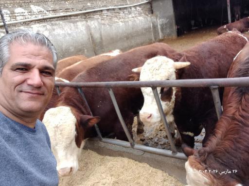 عکس جاورسیان