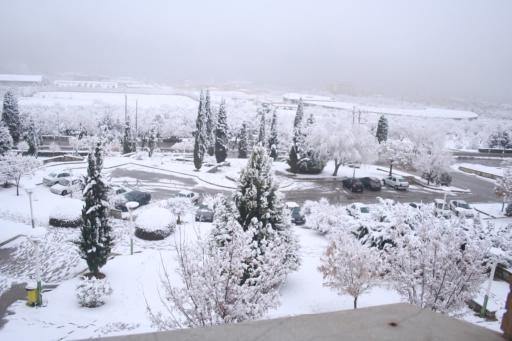 عکس دانشکده مدیریت و اطلاع رسانی پزشکی