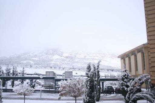 عکس دانشکده مدیریت و اطلاع رسانی پزشکی