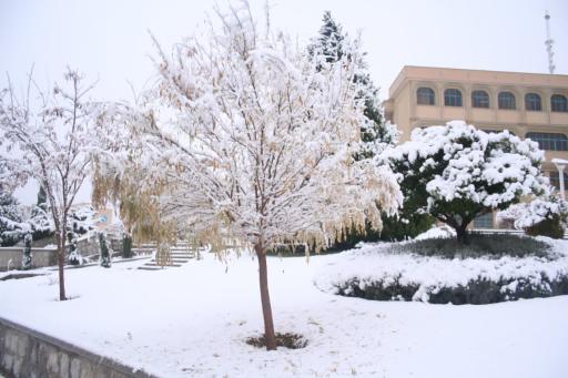 عکس دانشکده مدیریت و اطلاع رسانی پزشکی