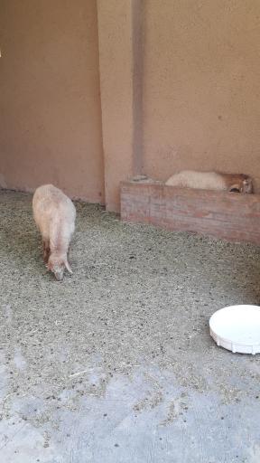 عکس دبستان پسرانه صبح رویش (کودکان کار)