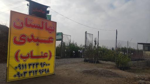 عکس نهالستان عناب- عبدی