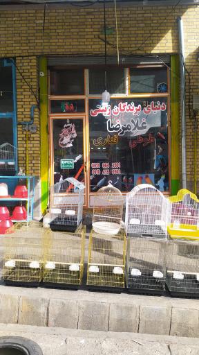 عکس فروشگاه پرندگان زینتی غلامرضا