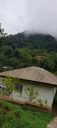 عکس مهمانپذیر دایله‌ سر