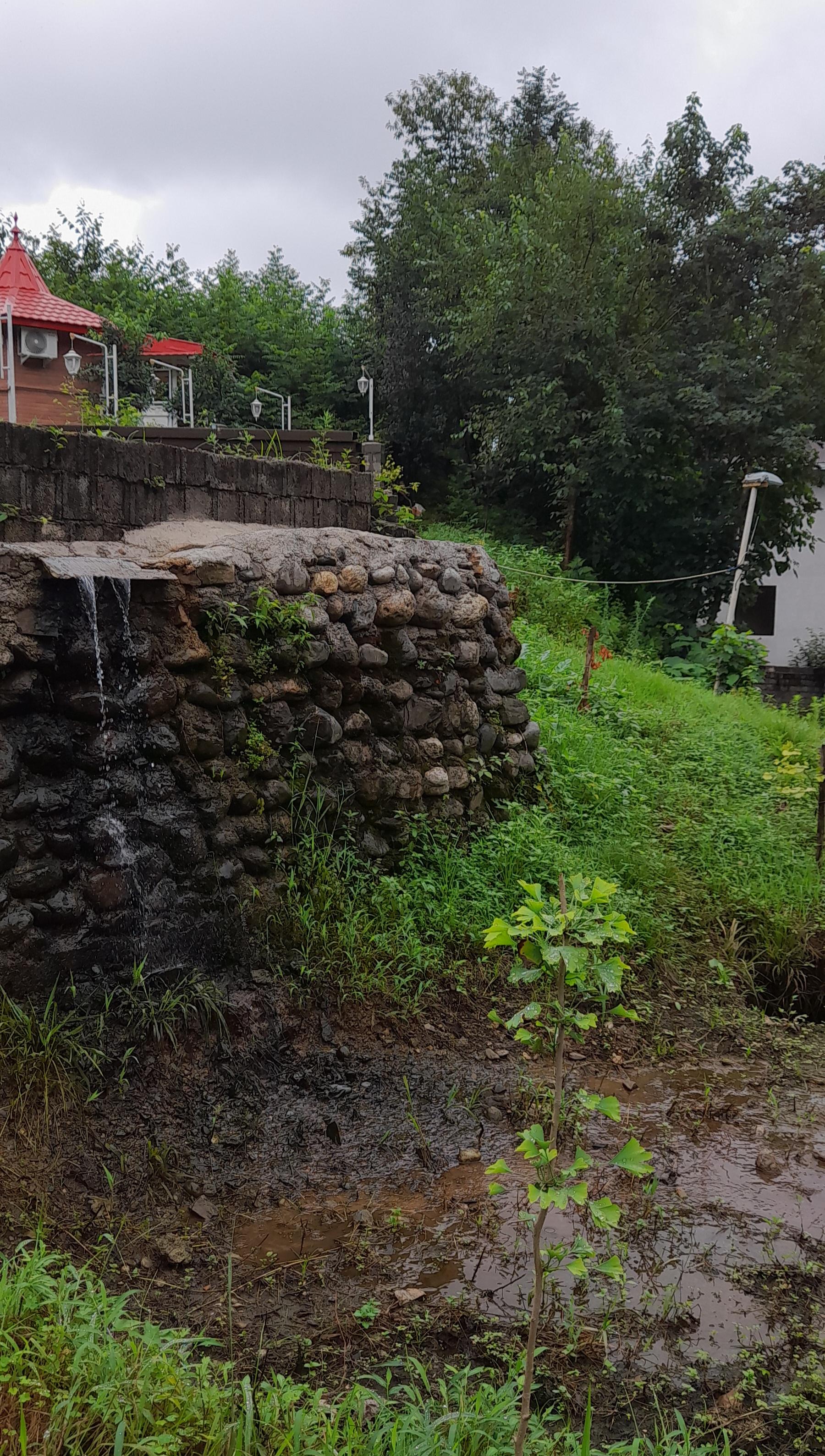 عکس مهمانپذیر دایله‌ سر