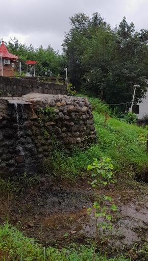 عکس مهمانپذیر دایله‌ سر