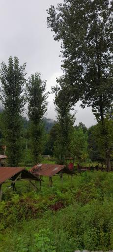 عکس مهمانپذیر دایله‌ سر