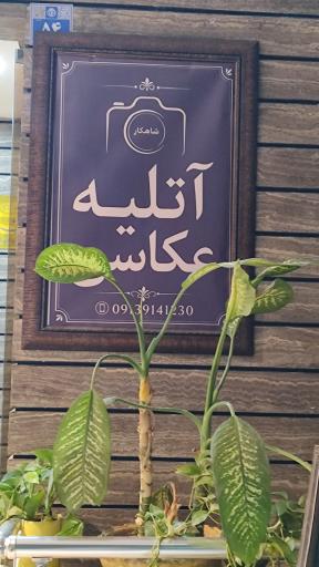 عکس آتلیه شاهکار
