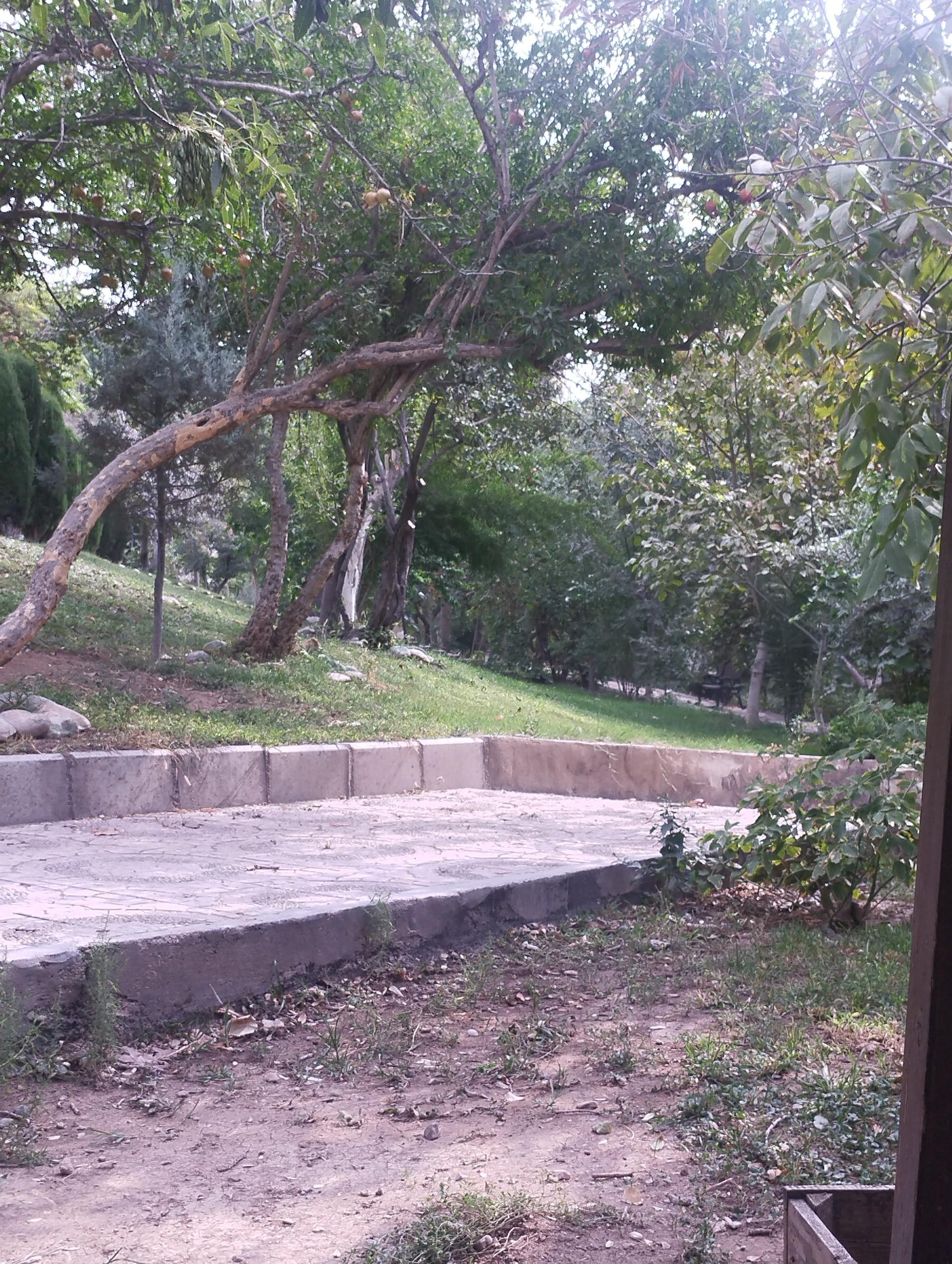 عکس پارک