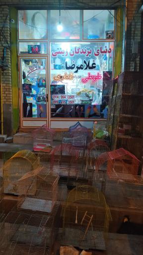 عکس فروشگاه پرندگان زینتی غلامرضا