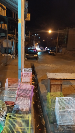 عکس فروشگاه پرندگان زینتی غلامرضا