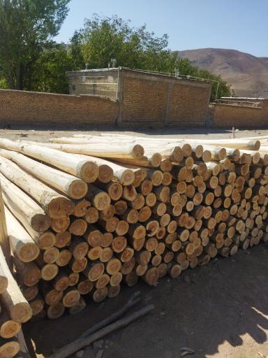 عکس مرکز چوب