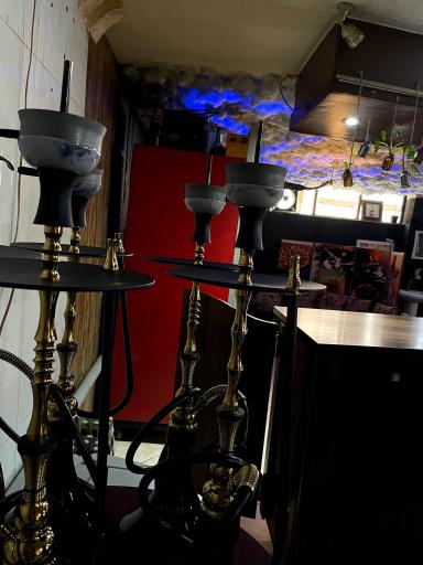 عکس کافه صبحانه آیلار