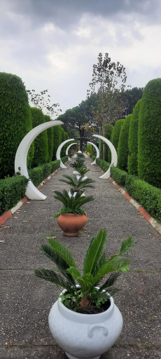 عکس رستوران مجتمع فرهنگی تفریحی شهید مطهری (صدف)