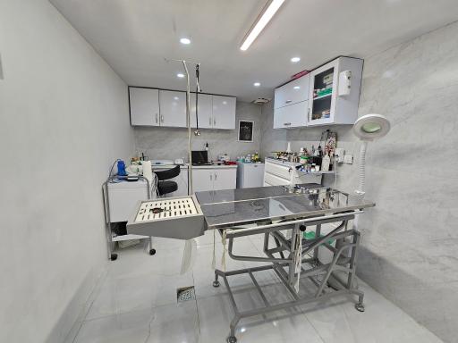 عکس کلینیک دامپزشکی دکتر حاتمی