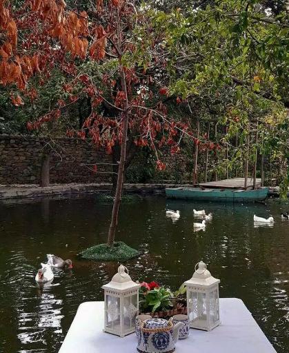 عکس باغ عمارت عکاسی ویدا