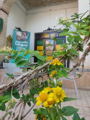 کافه رستوران عمورضا 