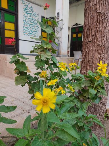 کافه رستوران عمورضا 