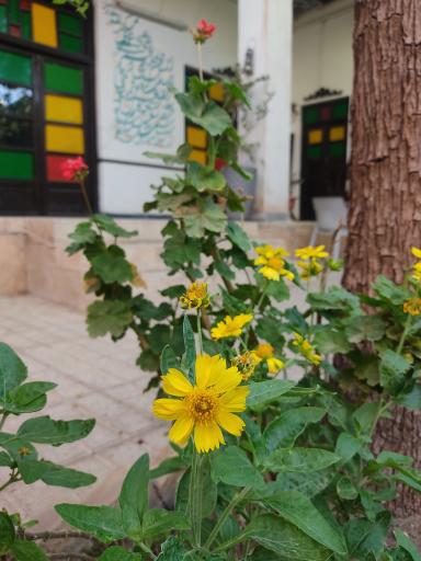 عکس کافه فست فود عمورضا