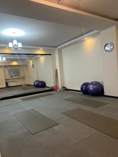 عکس نگار فعال