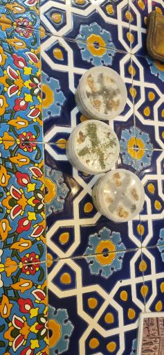 عکس رستوران سنتی سه طاق