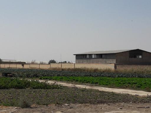 عکس گاوداری حاج اکبر دهقان