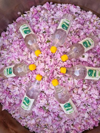 عکس عرقیات گیاهی خانگی چک چک