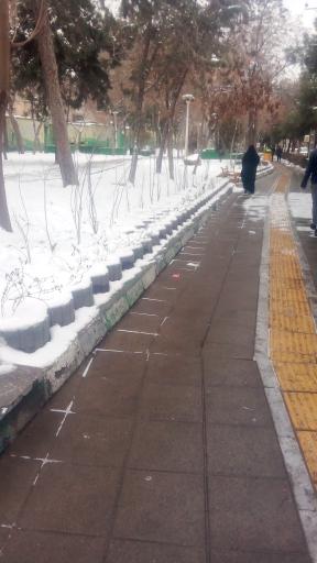 عکس بوستان پرستو