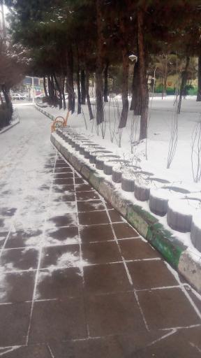 عکس بوستان پرستو