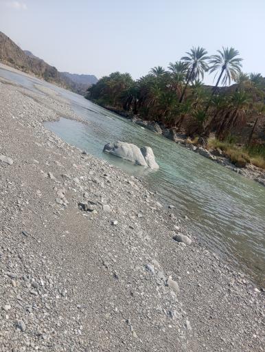 عکس کهیری