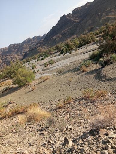 عکس کهیری